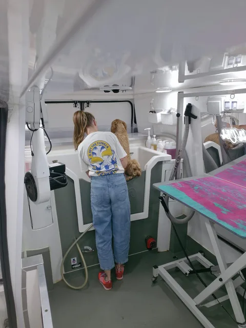 Carly bathing a dog in the van's hydro bath